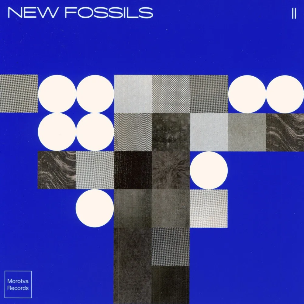 New Fossils — II
